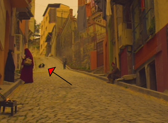 The Water Diviner - cats confronting each other on street