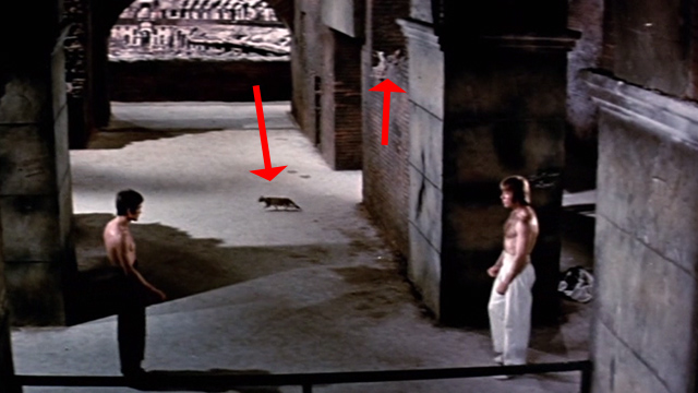The Way of the Dragon - cat running through scene behind Bruce Lee and Chuck Norris