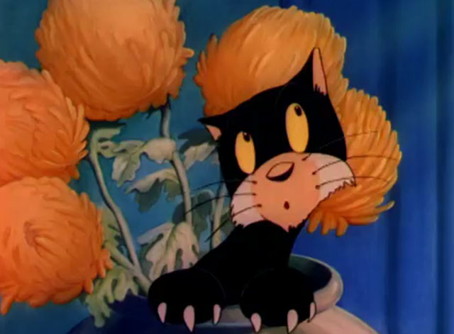 The Wayward Pups - cartoon black cat hiding in flower pot
