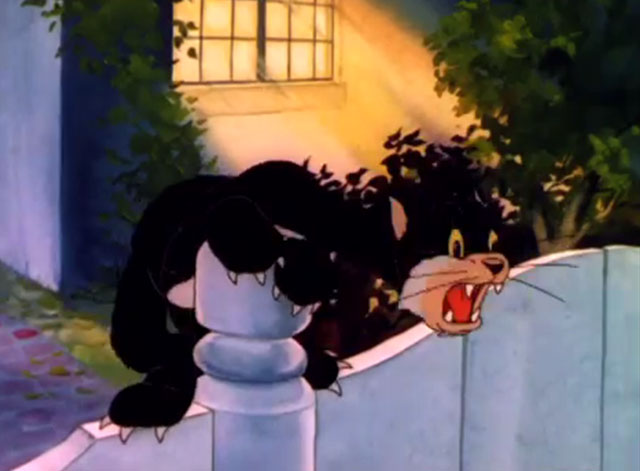 The Wayward Pups - cartoon black cat calling from fence post