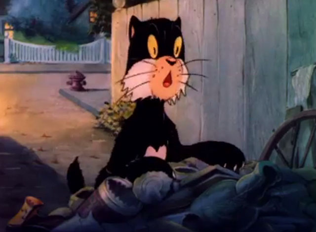 The Wayward Pups - cartoon black cat in alley looking shocked