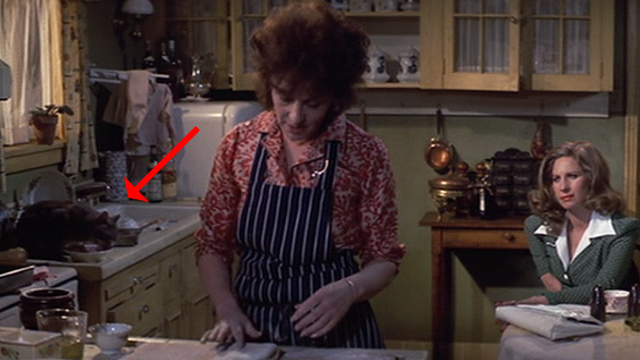 The Way We Were - tabby cat on counter eating