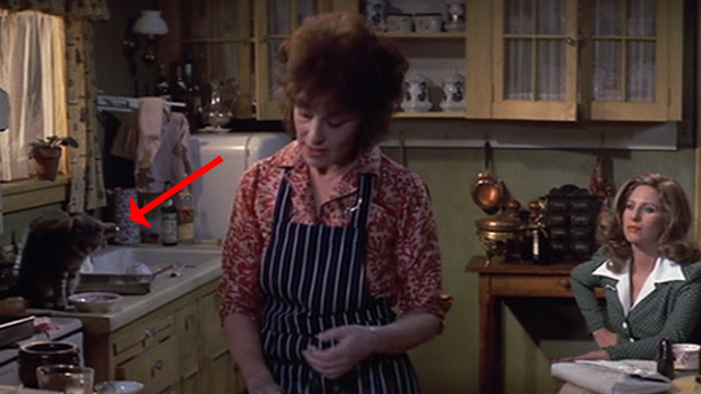 The Way We Were - tabby cat on counter sitting