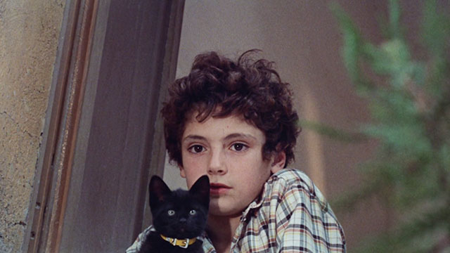 The Weapon, the Hour, the Motive - L'arma l'ora il movente - Ferruccio Arturo Trina in window holding black kitten