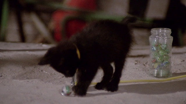 The Weapon, the Hour, the Motive - L'arma l'ora il movente - black kitten playing with marble
