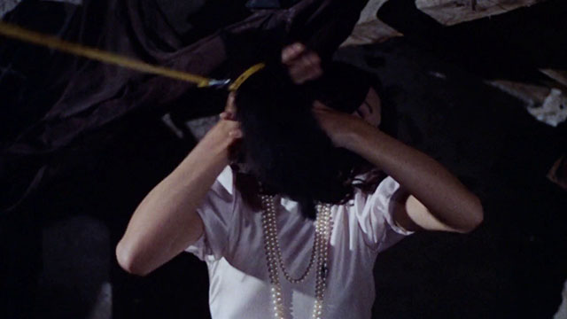 The Weapon, the Hour, the Motive - L'arma l'ora il movente - black kitten flying in face of Orchidea