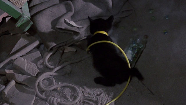 The Weapon, the Hour, the Motive - L'arma l'ora il movente - black kitten knocking over glass container of marbles