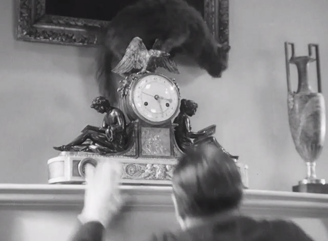 Wedding Rehearsal - long haired gray cat on top of clock