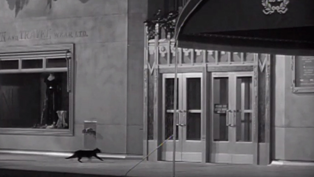 Weekend at the Waldorf - black cat trying to get into Waldorf-Astoria Hotel