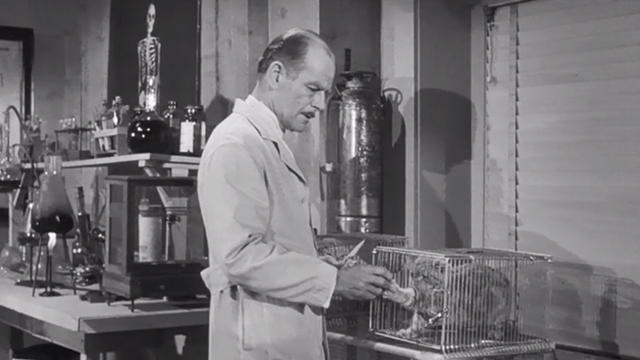 The Werewolf - Dr. Chambers George Lynn feeding tabby cat through wires in cage
