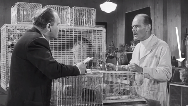 The Werewolf - Dr. Chambers George Lynn with back turned to tabby cat in cage