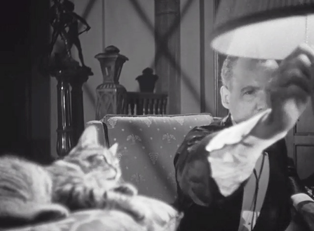Werewolf of London - tabby cat lying on cushion on desk as Dr. Glendon Henry Hull turns off light