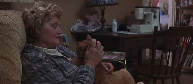 What Lies Beneath - Mrs. Frank Micole Mercurio petting ginger tabby cat on chest