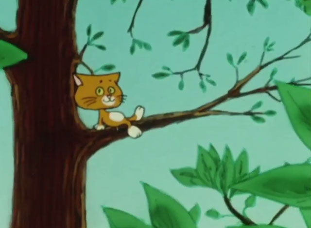 What's the Brightest Star in the Sky? - orange and white cartoon cat Wonder Cat sitting in tree