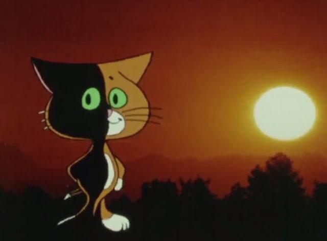What's the Brightest Star in the Sky? - orange and white cartoon cat Wonder Cat standing by sunset half in shadow
