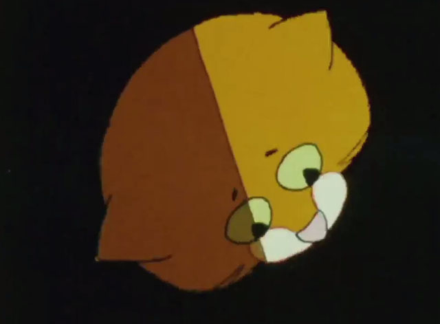 What's the Brightest Star in the Sky? - orange and white cartoon cat Wonder Cat head from above half in shadow