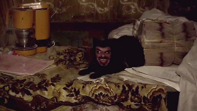 What We Do in the Shadows - Vladislav Jemaine Clement face on Sifty the black cat's body