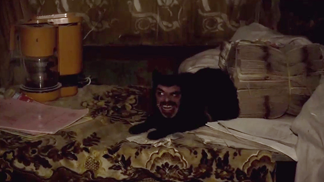 What We Do in the Shadows - Vladislav Jemaine Clement face on Sifty the black cat's body