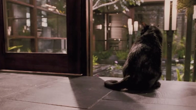 When a Stranger Calls - black cat Chester sitting outside atrium