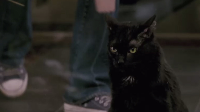 When a Stranger Calls - black cat Chester Warlock