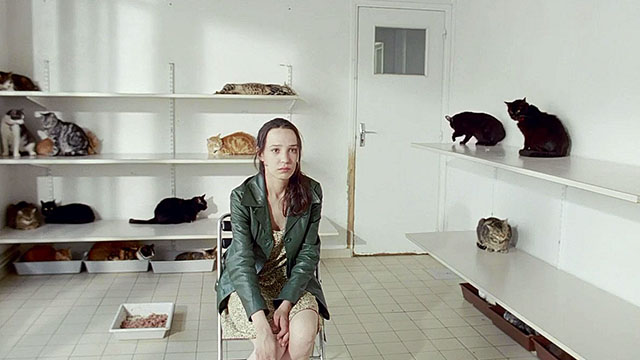 Chacun Cherche son Chat - When the Cat's Away - Chloe Garance Clavel sitting in animal shelter surrounded by cats