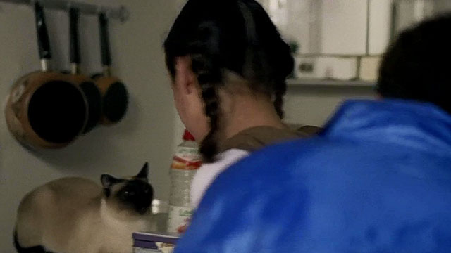 Chacun Cherche son Chat - When the Cat's Away - Chloe Garance Clavel looking at Siamese cat on refrigerator