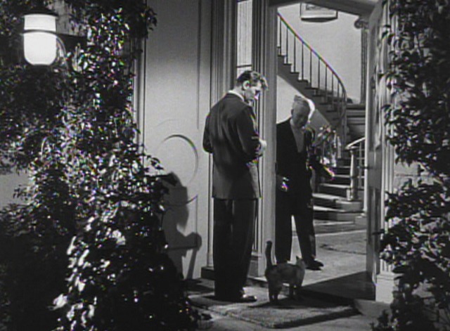 Where Danger Lives - Siamese cat on doorstep