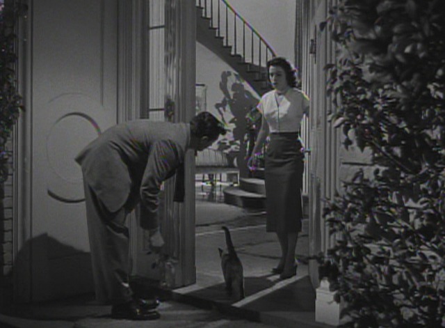 Where Danger Lives - Siamese cat runs into house