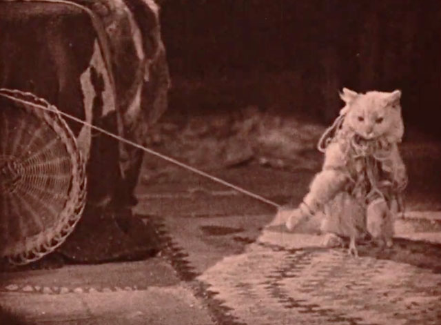 Where the North Begins - longhair white cat tangled up in yarn
