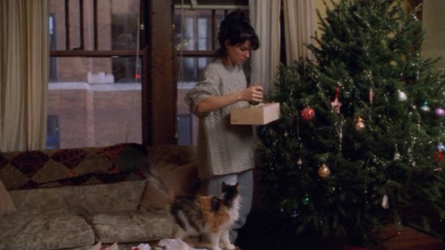While You Were Sleeping - long-haired calico cat Mel watches Lucy take ornaments off tree