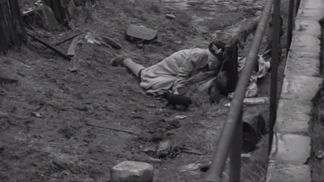 The Whisperers - black kitten beside unconscious Mrs. Ross Edith Evans lying on ground