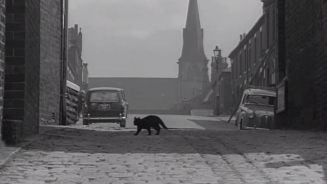 The Whisperers - black cat crossing road