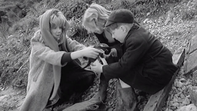 Whistle Down the Wind - Kathy Hayley Mills handing tuxedo kitten to Charlie Alan Barnes with Nan Diane Holgate