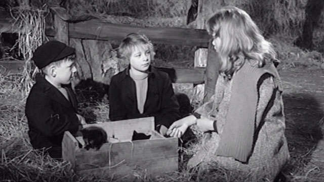 Whistle Down the Wind - Kathy Hayley Mills, Charlie Alan Barnes and Nan Diane Holgate with kittens in barn