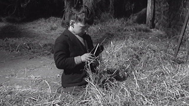 Whistle Down the Wind - Charlie Alan Barnes finding deceased kitten in straw