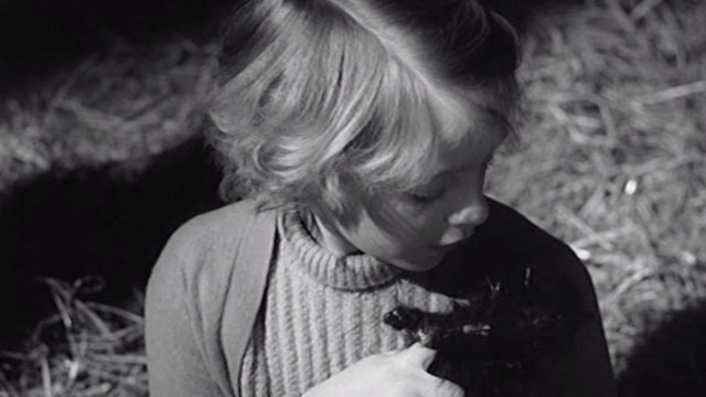 Whistle Down the Wind - Nan Diane Holgate holding deceased kitten
