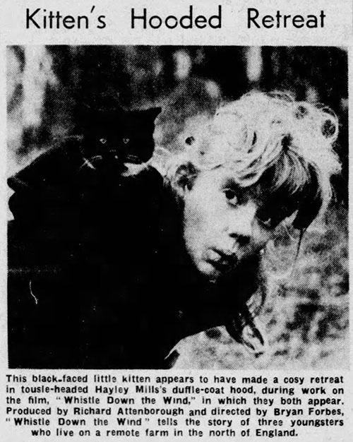 Whistle Down the Wind - Kathy Hayley Mills with kitten in newspaper article