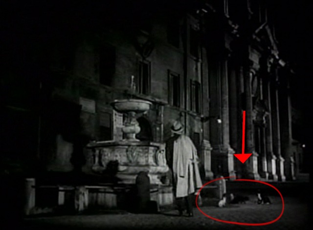 The White Sheik - Ivan walking past cats to fountain