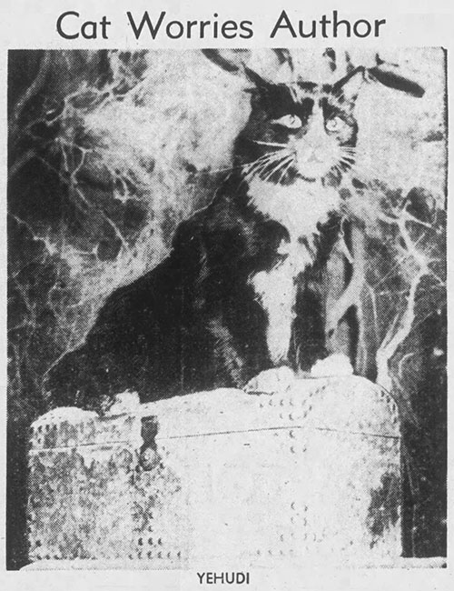 Who Killed Aunt Maggie? - newspaper photo of longhair tuxedo cat Yehudi