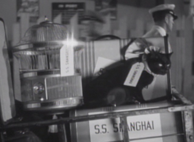 The Whole Town's Talking black cat with baggage