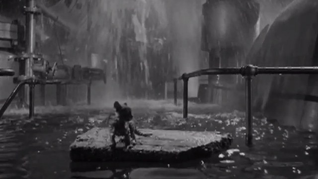 Who Was That Lady? - kitten sitting on floating board in basement