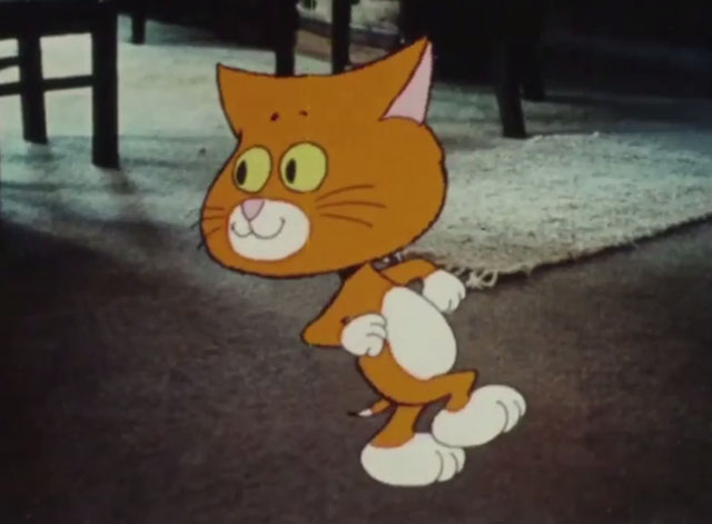 Why Do Cats Have Whiskers? - Wonder Cat - cartoon orange and white cat about to run away