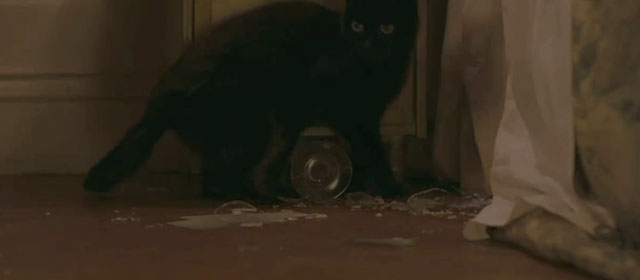 The Wicker Tree - black cat Magog standing next to broken glass
