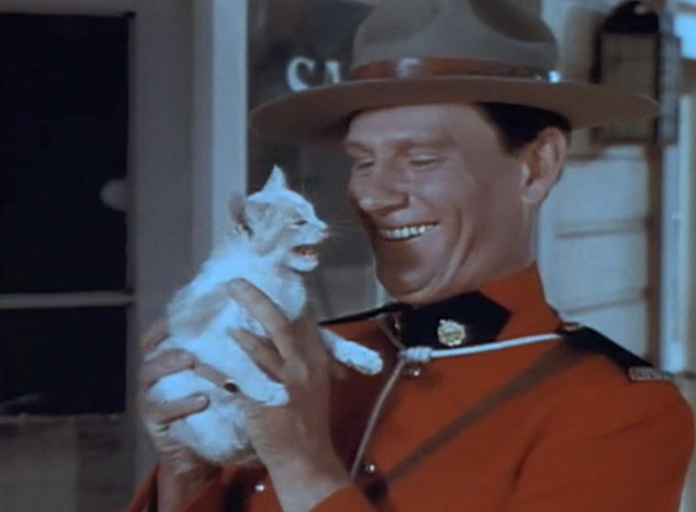 The Wild North - yellow tabby kitten meowing at Mountie Pedley Wendell Corey