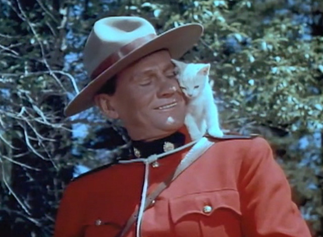 The Wild North - Mountie Pedley Wendell Corey with yellow tabby kitten on shoulder