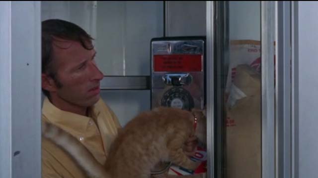 Willard - man in phone booth holding orange tabby cat Chloe