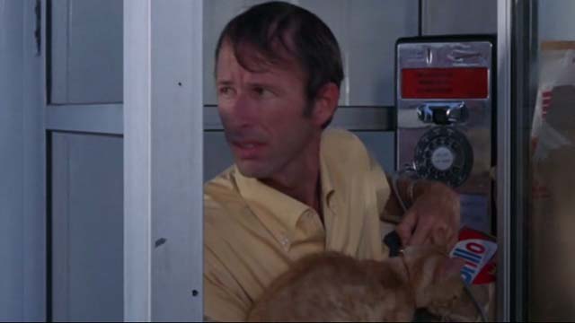 Willard - man in phone booth holding orange tabby cat Chloe