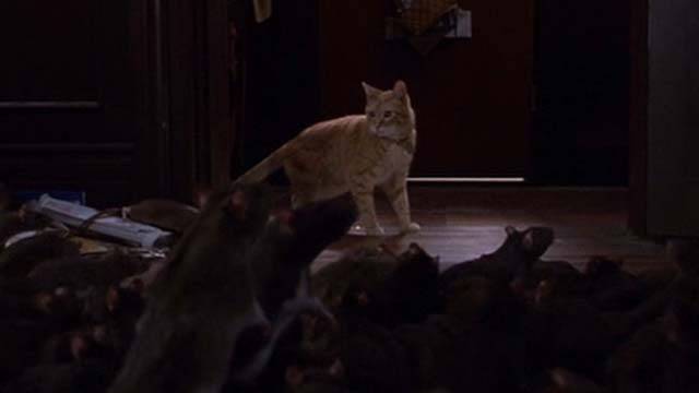 Willard 2003 - orange tabby cat Scully surrounding by rats inside front door