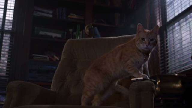 Willard 2003 - orange tabby cat Scully on chair with remote