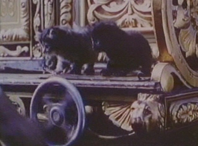 Wings of the Morning - kittens sitting on gypsy wagon
